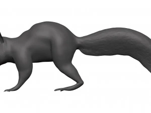 Red squirrel 3D Model