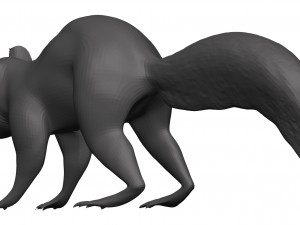 Red squirrel 3D 모델