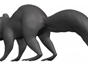 Red squirrel 3D Model