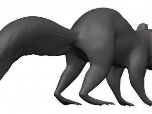 Red squirrel 3D 모델