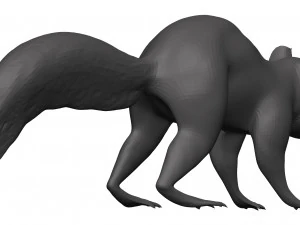 Red squirrel 3D Model