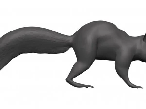 Red squirrel 3D Model