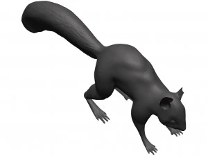 Red squirrel 3D Model