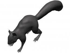 Red squirrel 3D Model