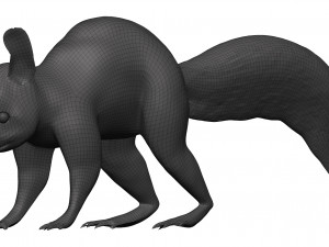 Red squirrel 3D 모델