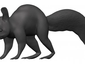 Red squirrel 3D Model