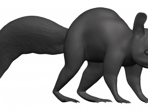 Red squirrel 3D 모델