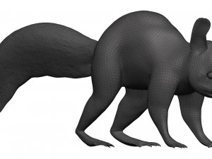 Red squirrel 3D Model