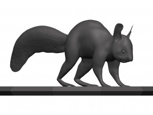 Red squirrel 3D 모델
