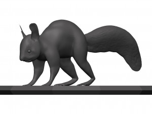 Red squirrel 3D 모델