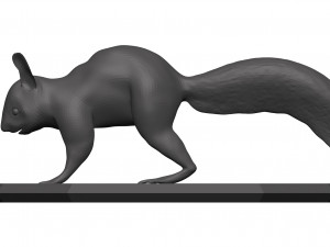 Red squirrel 3D 모델