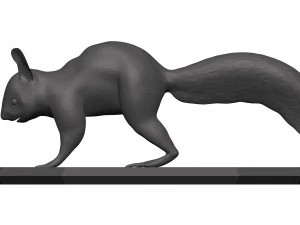 Red squirrel 3D Model