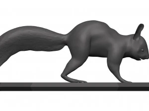 Red squirrel 3D Model