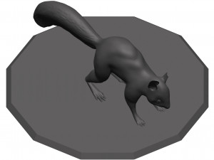 Red squirrel 3D 모델