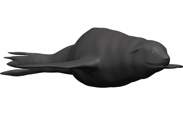 Sea lion 3D-Modell .c4d .max .obj .3ds .fbx .stl .blend 