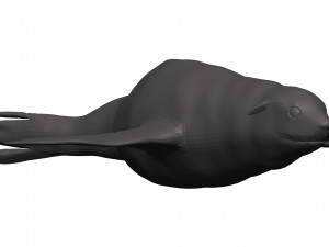 Sea lion 3D Model