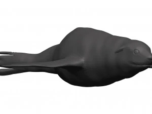 Le&atilde;o marinho Modelo 3D