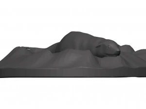 Sea lion 3D Model