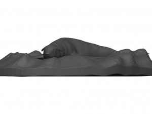Sea lion 3D-Modell