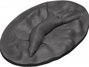 Sea lion 3D-Modell