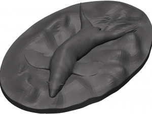 Sea lion 3D Model