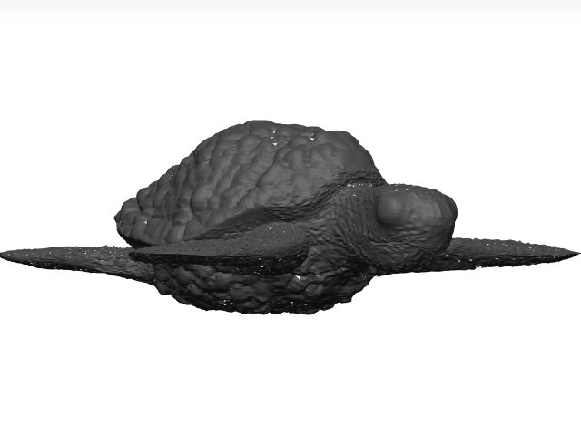 Sea turtle 3D Модель .c4d .max .obj .3ds .fbx .stl .blend 