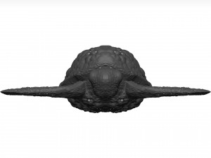 Sea turtle 3D Модель