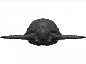 Sea turtle 3D Model