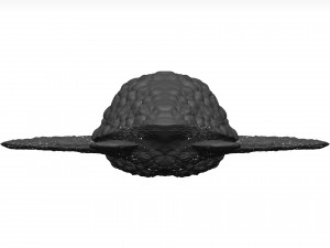 Sea turtle 3D Модель