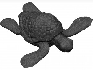 Sea turtle 3D Модель