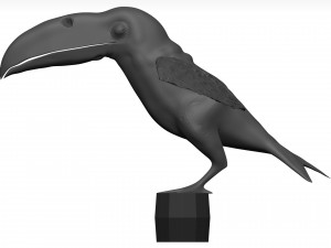 Toco tolucan 3D Model