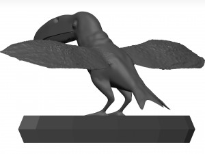 Toco tolucan 3D Model