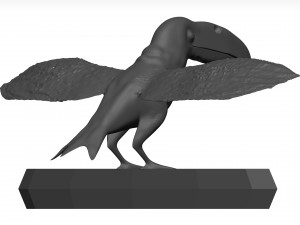 Toco tolucan 3D Model