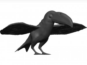 Toco tolucan 3D Model