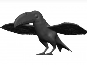 Toco tolucan 3D Model