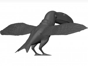 Toco tolucan 3D Model