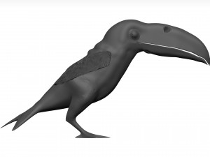 Toco tolucan 3D Model