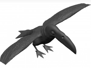 Toco tolucan 3D Model