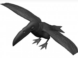 Toco tolucan 3D Model
