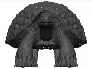 Schildkr&ouml;te 3D Modell