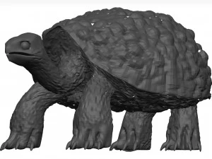 Schildkr&ouml;te 3D Modell