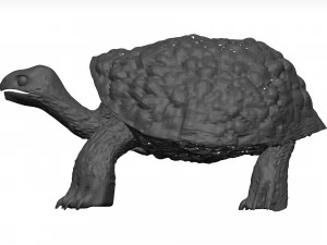 Schildkr&ouml;te 3D Modell