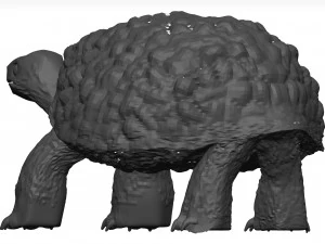 Schildkr&ouml;te 3D Modell