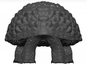Schildkr&ouml;te 3D Modell