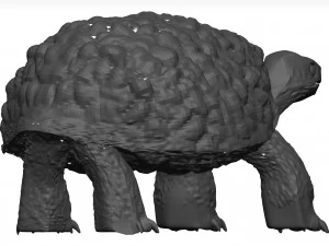 Schildkr&ouml;te 3D Modell