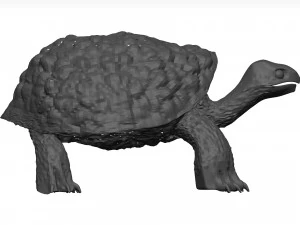 Schildkr&ouml;te 3D Modell
