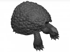 Schildkr&ouml;te 3D Modell