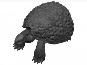 Schildkr&ouml;te 3D Modell