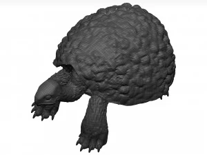 Schildkr&ouml;te 3D Modell