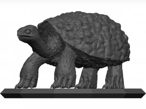 Schildkr&ouml;te 3D Modell
